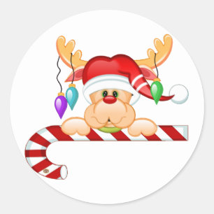 Adesivo Rudy Candy Cane