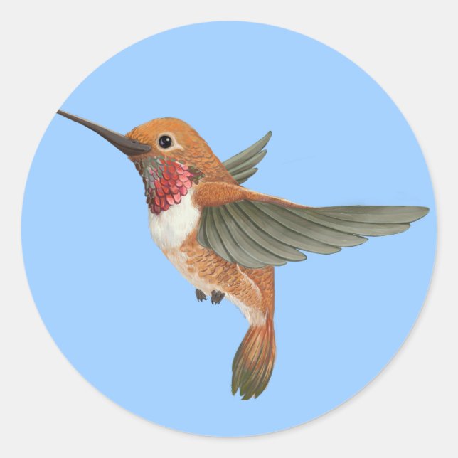 Adesivo Rufous Hummingbird (Frente)