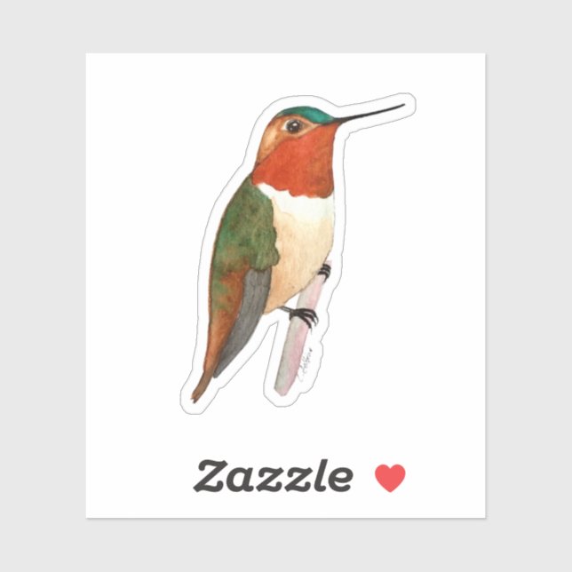 Adesivo Rufous Hummingbird Sticker (Folha)