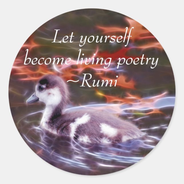 Adesivo Rumi torna-se poesia viva (Frente)