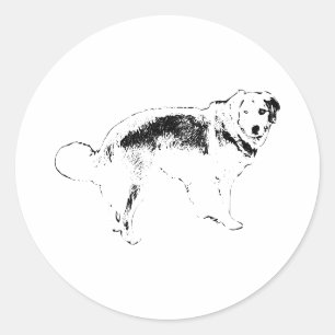 Adesivo Rustic Harvest Pup