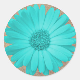 Adesivo Rustic Teal Gerber Daisy Round Stickers Seals