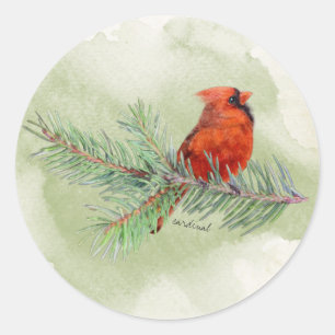 Adesivo Rustic Watercolor Sweet Red Cardinal