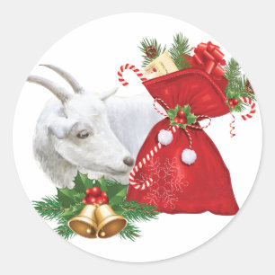 Adesivo Saanen Goat Com Espírito De Feriado