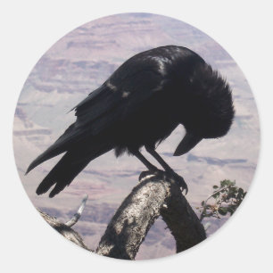 Adesivo Sad Raven Stickers 01