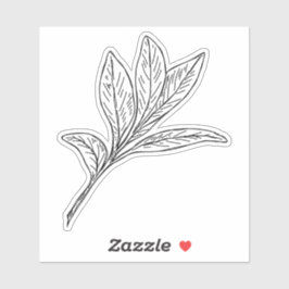 Adesivo Sage Sticker