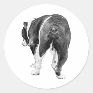 Adesivo Saída Reprodutiva, Sombreamento De Inverno Pintado