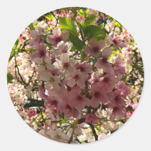 Adesivo Sakura Cherry Blossom #3 Stickers