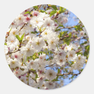 Adesivo Sakura Cherry Blossom Japão Quioto