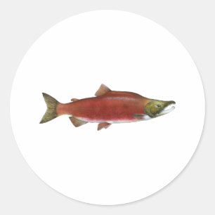 Adesivo Salmões de Sockeye