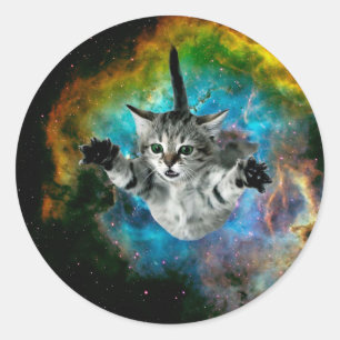 Adesivo Salto de gato no espaço