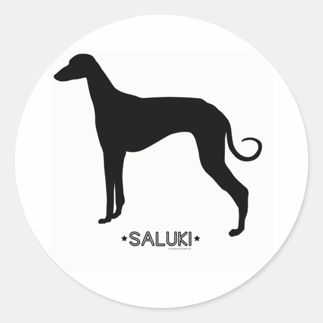 Adesivo Saluki Sticker (Frente)