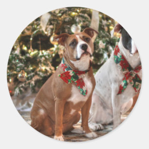 Adesivo Salvamento bonito Pitbull do Natal e cão de