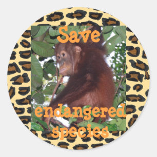 Adesivo Salvar animais selvagens da espécie em vias de
