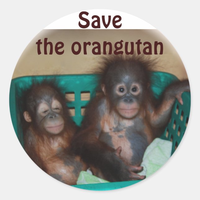 Adesivo Salve o Orangutan (Frente)