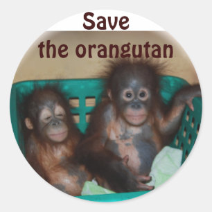 Adesivo Salve o Orangutan
