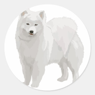 Adesivo Samoyed bonito
