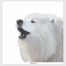 Samoyed Howl; Vinheta De Vinil Limpo De Corte Pers