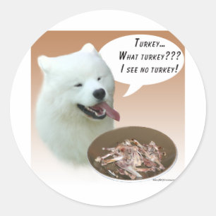 Adesivo Samoyed Turquia