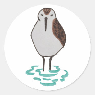 Adesivo Sandpiper de Dormência Artística