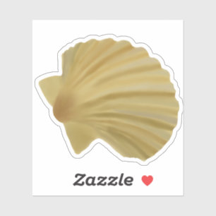 Adesivo Sandy Colour Seashell
