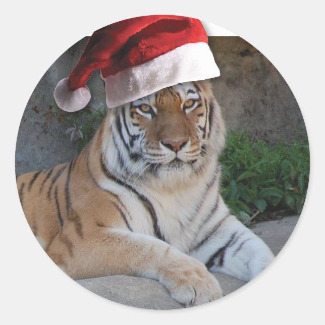 Adesivo Santa Hat Bengal Tiger (Frente)