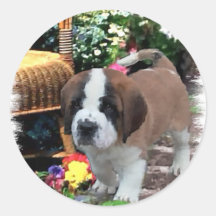 Santo Bernard Art Gifts