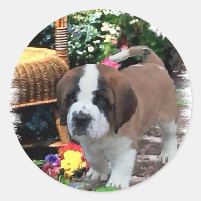 Adesivo Santo Bernard Art Gifts (Frente)