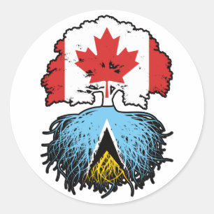 Adesivo Santo Lucia Santo Lucian Canada Tree Root