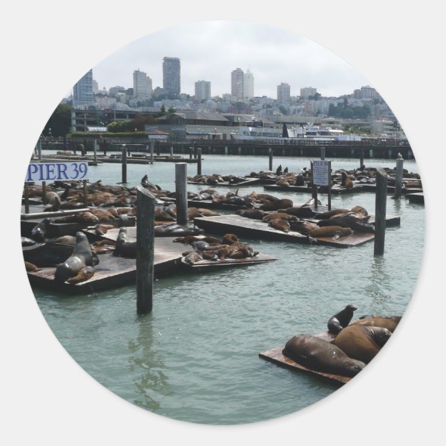Adesivo São Francisco e Pier 39 Sea Lions City Skyline (Frente)