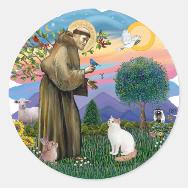 Adesivo São Francisco - gato Turco Van (Frente)