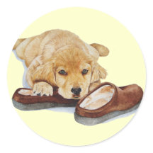 sapateiras para abraçar cães, apanhadoras de ouros