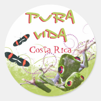 Adesivo Sapo de árvore Costa Rica Pura Vida