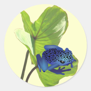 Adesivo Sapo de Dart Venison