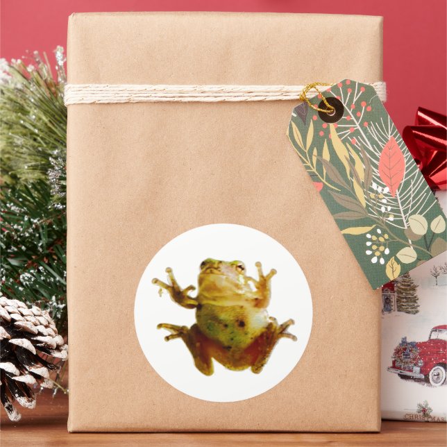 Adesivo Sapo engraçado, Froggie Toad 4Fred (Feriado)