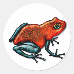 Adesivo Sapo vermelho e verde do dardo do veneno