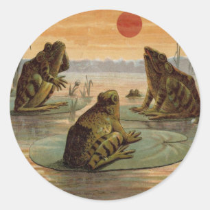 Adesivo Sapos Lily Pads Ilustração da Lua