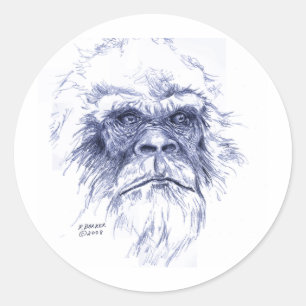 Adesivo Sasquatch azul grande