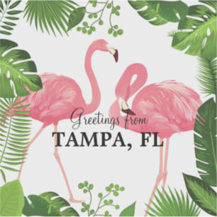 Adesivo Saudações de Tampa, Flórida