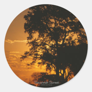Adesivo Savannah Sunset Sticker
