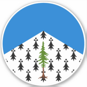 Adesivo SCA Crosston Vinyl Sticker