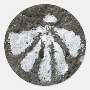 Adesivo Scallop Shell Stickers