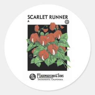 Adesivo Scarlet Runner, F. Lagomarsino e Filhos