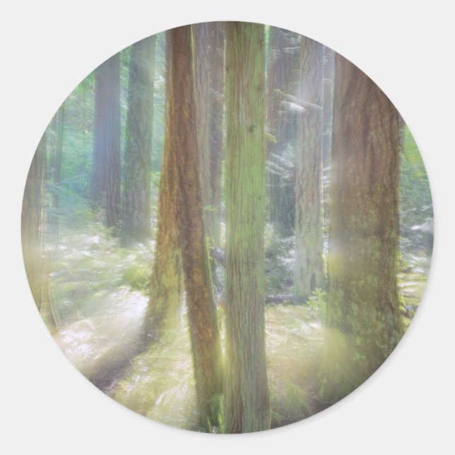 Adesivo Scenic Beach State Park (Frente)