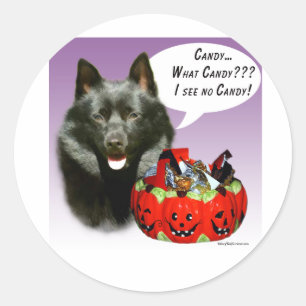 Adesivo Schipperke Halloween Candy