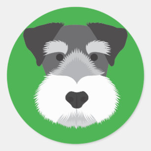 Adesivo Schnauzer diminuto
