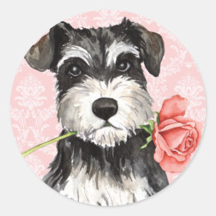 Adesivo Schnauzer do rosa dos namorados mini