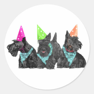 Adesivo Scotties de celebração em chapéus de festa