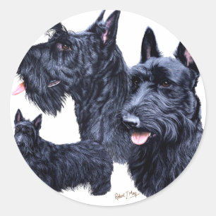 Adesivo Scottish Terrier