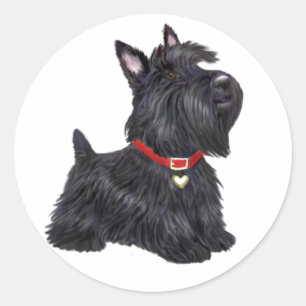Adesivo Scottish Terrier (A) - (por JBF)